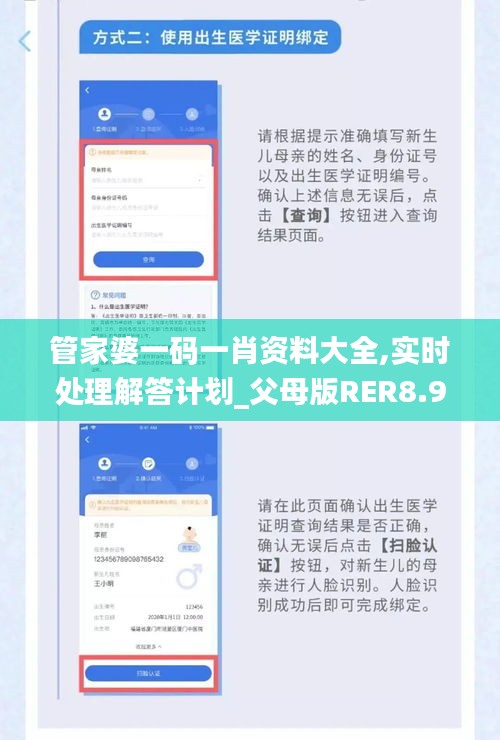 管家婆一碼一肖資料大全,實時處理解答計劃_父母版RER8.90