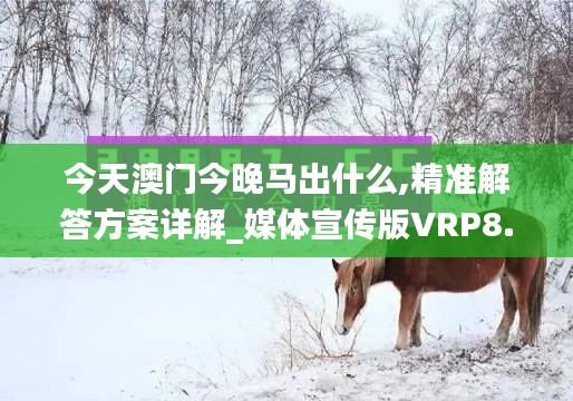 今天澳門今晚馬出什么,精準解答方案詳解_媒體宣傳版VRP8.53