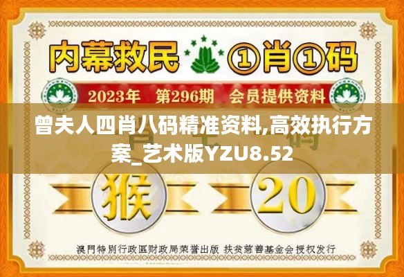 曾夫人四肖八碼精準資料,高效執行方案_藝術版YZU8.52