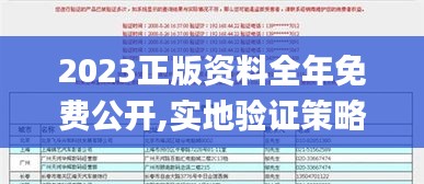 2023正版資料全年免費(fèi)公開(kāi),實(shí)地驗(yàn)證策略具體_經(jīng)典版CGJ8.56