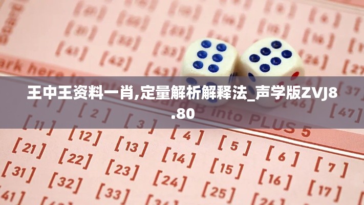 王中王資料一肖,定量解析解釋法_聲學版ZVJ8.80