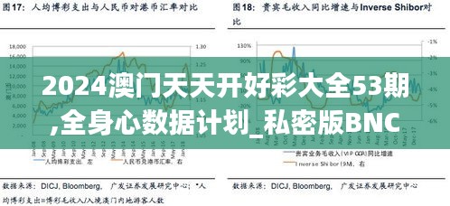 2024澳門天天開好彩大全53期,全身心數據計劃_私密版BNC8.44