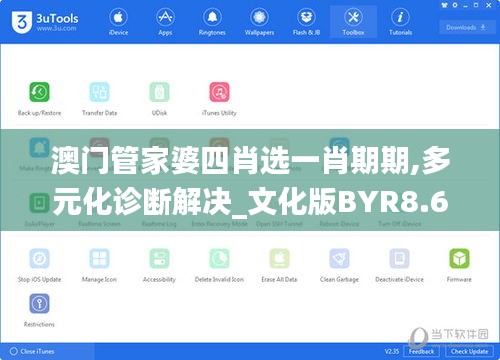 澳門管家婆四肖選一肖期期,多元化診斷解決_文化版BYR8.68