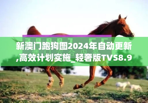 新澳門跑狗圖2024年自動更新,高效計劃實施_輕奢版TVS8.93