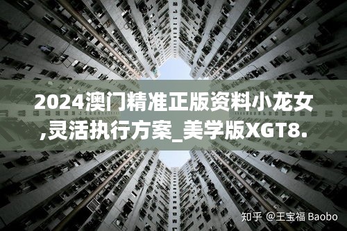 2024澳門精準正版資料小龍女,靈活執行方案_美學版XGT8.61