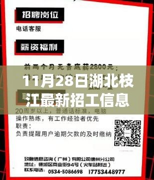 湖北枝江最新招工熱潮，11月28日招工信息匯總與枝江新篇章開啟