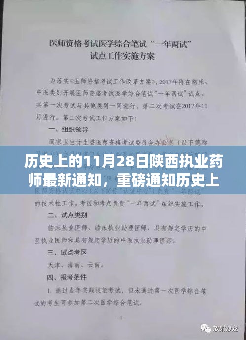 陜西執業藥師最新動態揭秘，歷史上的11月28日重磅通知發布在即！