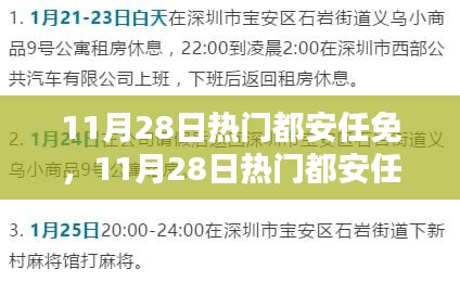 11月28日熱門都安任免步驟指南，適合初學(xué)者與進階用戶