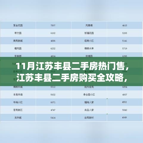 江蘇豐縣二手房購買指南，熱門房源選購攻略與全攻略詳解