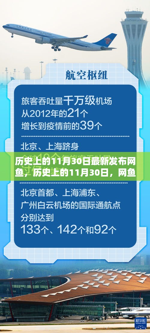 網魚新篇章，歷史上的11月30日揭秘與最新動態(tài)發(fā)布