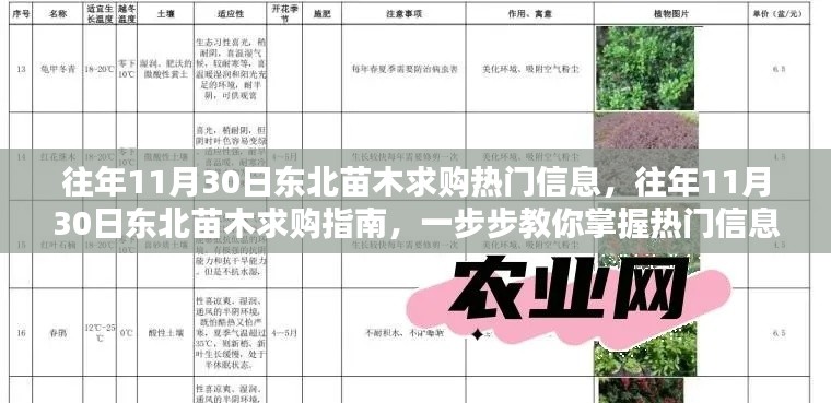 掌握技巧，揭秘往年11月30日東北苗木求購熱門信息及指南