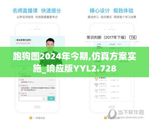 跑狗圖2024年今期,仿真方案實施_響應版YYL2.728