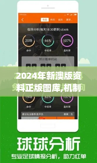 2024年新澳版資料正版圖庫,機制評估方案_明星版EQR5.600