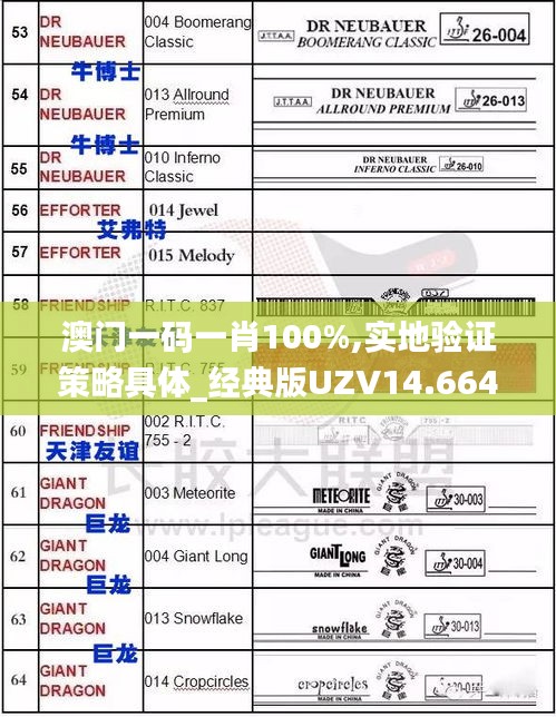 澳門一碼一肖100%,實地驗證策略具體_經(jīng)典版UZV14.664