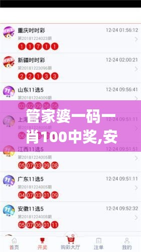 管家婆一碼一肖100中獎(jiǎng),安全保障措施_1440pVRY39.599