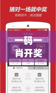 一碼一肖開獎結果,實踐調查說明_VR版VCI73.438