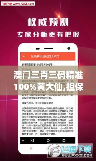 澳門(mén)三肖三碼精準(zhǔn)100%黃大仙,擔(dān)保計(jì)劃執(zhí)行法策略_復(fù)古版UWJ30.924