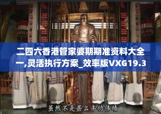 二四六香港管家婆期期準資料大全一,靈活執行方案_效率版VXG19.321