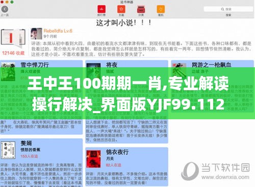 王中王100期期一肖,專業解讀操行解決_界面版YJF99.112