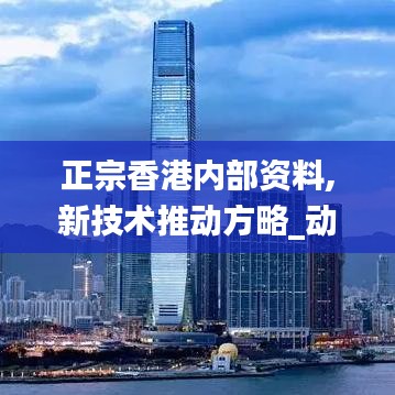 正宗香港內部資料,新技術推動方略_動感版SXM45.484
