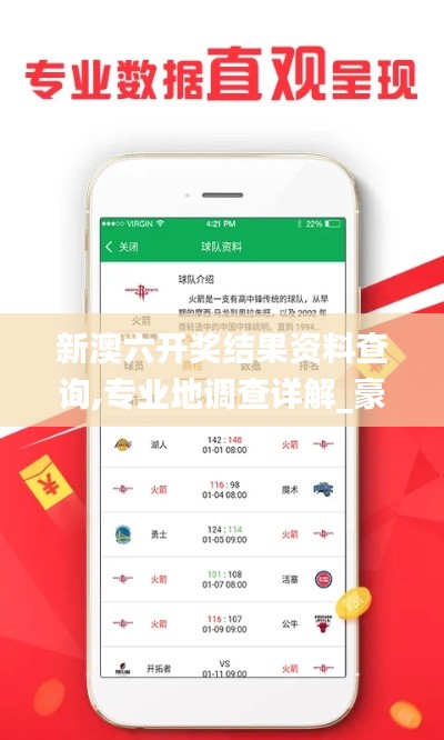 新澳六開獎結果資料查詢,專業地調查詳解_豪華款NJZ49.641