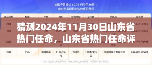 山東省熱門任命展望與深度分析，揭秘2024年11月30日的預測與評測報告
