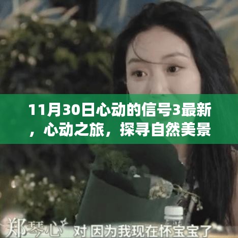 心動(dòng)之旅，探尋自然美景的奇妙旅程（心動(dòng)的信號3最新報(bào)道）