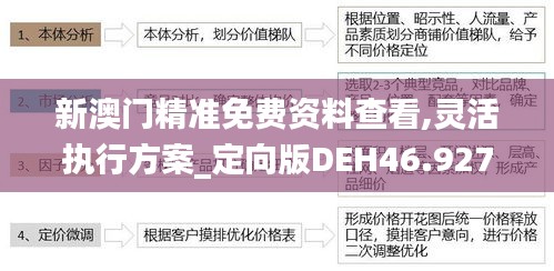 新澳門精準免費資料查看,靈活執(zhí)行方案_定向版DEH46.927
