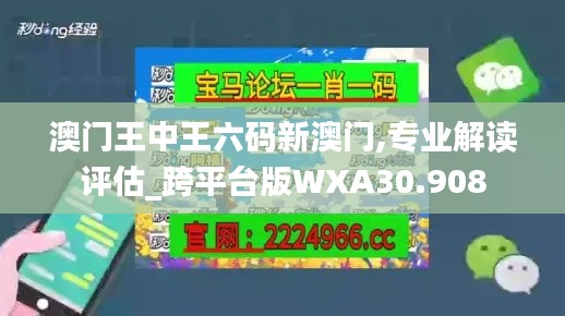澳門王中王六碼新澳門,專業解讀評估_跨平臺版WXA30.908