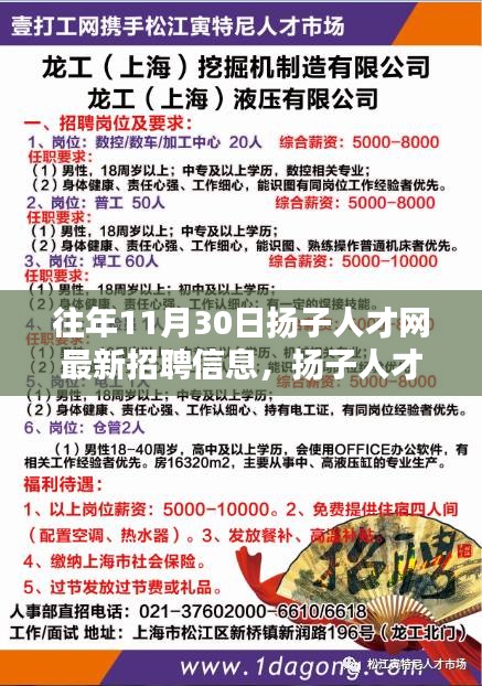 揚子人才網最新招聘信息及求職指南，順利求職的完全步驟概覽