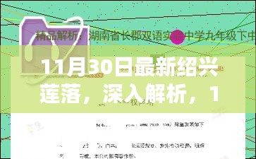 深入解析，最新紹興蓮落產品特性與用戶體驗體驗報告（11月最新）