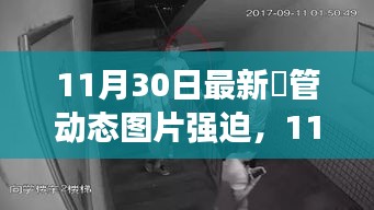 11月30日最新熱門動態圖片，潮流風尚的引領者