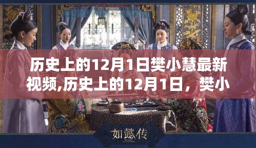 樊小慧12月1日最新視頻揭秘，歷史時刻的新內容展望