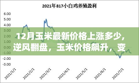 玉米市場逆風(fēng)翻盤，最新漲價趨勢與變化中的學(xué)習(xí)帶來的自信與成就感