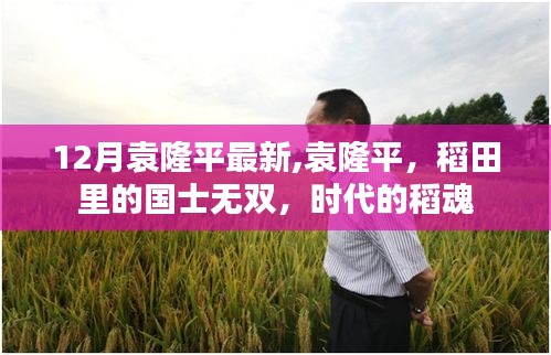 袁隆平，稻田里的國士無雙，時代稻魂的新篇章（12月最新動態(tài)）