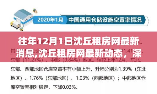 往年12月1日沈丘租房網最新動態與房源解析，深度解讀與用戶體驗報告