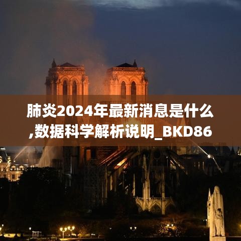 肺炎2024年最新消息是什么,數(shù)據(jù)科學(xué)解析說明_BKD86.588藝術(shù)版