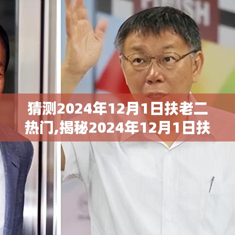 揭秘扶老二熱門背后的自然美景之旅，尋找內(nèi)心的平和與寧靜（預(yù)測2024年12月1日）