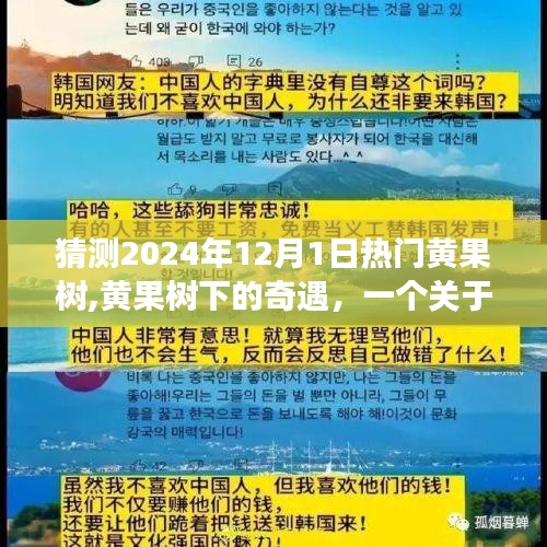 黃果樹下的溫情奇遇，友情、愛與陪伴的感人故事（猜測2024年12月1日熱門話題）