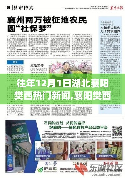 湖北襄陽樊西地區歷年12月1日熱門新聞回顧，事件、影響與時代地位概覽