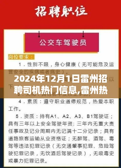 2024年雷州司機招聘熱門信息解析，尋找專業司機，開啟新征程