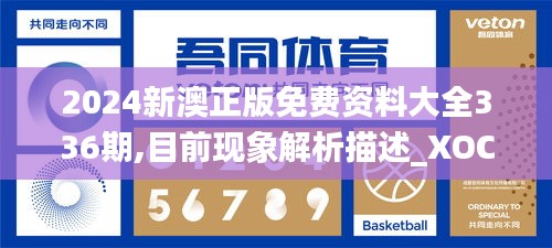 2024新澳正版免費資料大全336期,目前現象解析描述_XOC21.292多功能版
