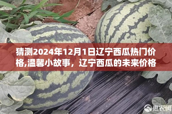 遼寧西瓜未來熱門價格預(yù)測，溫馨小故事里的未來價格展望，2024年遼寧西瓜價格猜想