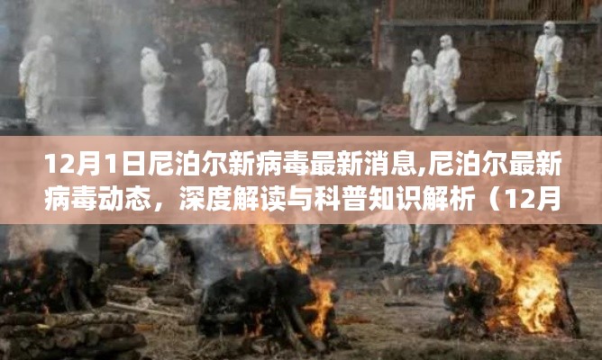 深度解讀與科普知識(shí)解析，尼泊爾最新病毒動(dòng)態(tài)（12月1日更新）