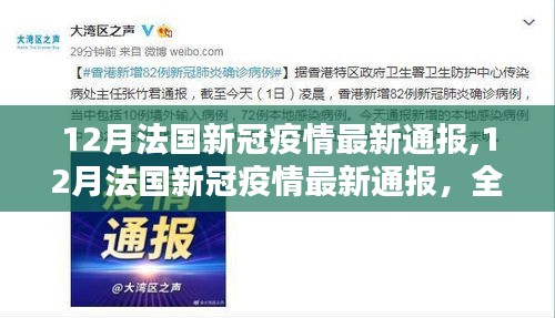 法國新冠疫情最新通報，當前形勢解析及應對策略探討