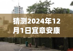 揭秘宜章安康小區，特色小店探秘與最新發展動態（2024年12月）