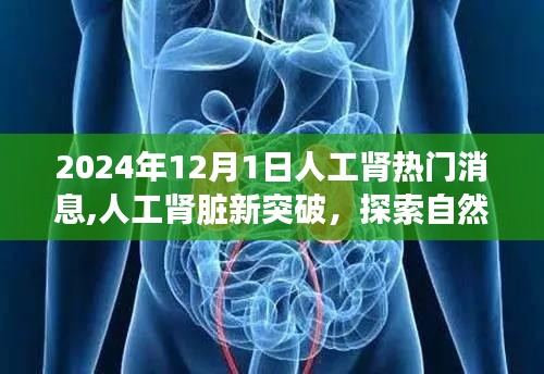 人工腎新突破，探索自然美景之旅與尋找內心寧靜的奇妙之旅（熱門消息）