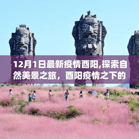 酉陽疫情下的靜謐秘境之旅，探索自然美景的別樣體驗(yàn)