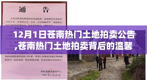 梨花帶雨 第4頁(yè)