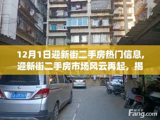 揭秘迎新街二手房市場風云再起，十二月一日熱門信息深度解析